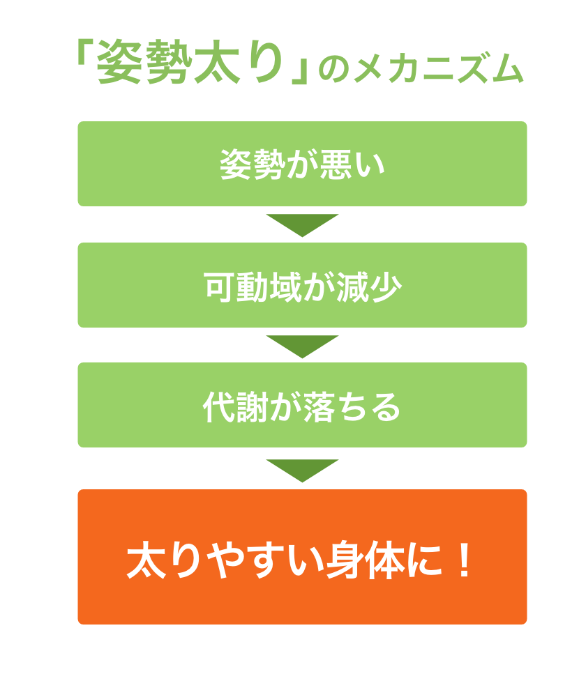 「姿勢太り」のメカニズム しせいが悪い→可動域が減少→代謝が落ちる→太りやすい身体に！